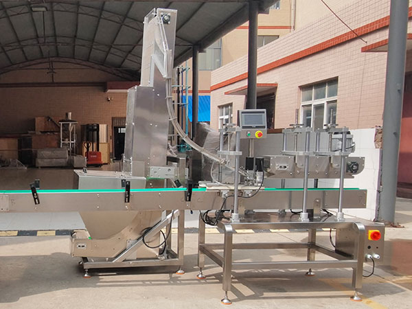 1L蒜蓉酱灌装机压盖生产线